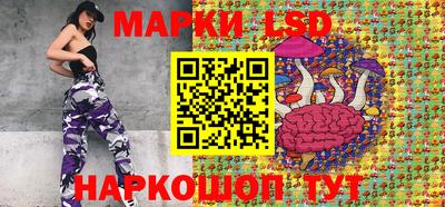 прущие грибы Кандалакша