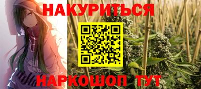 прущие грибы Кандалакша