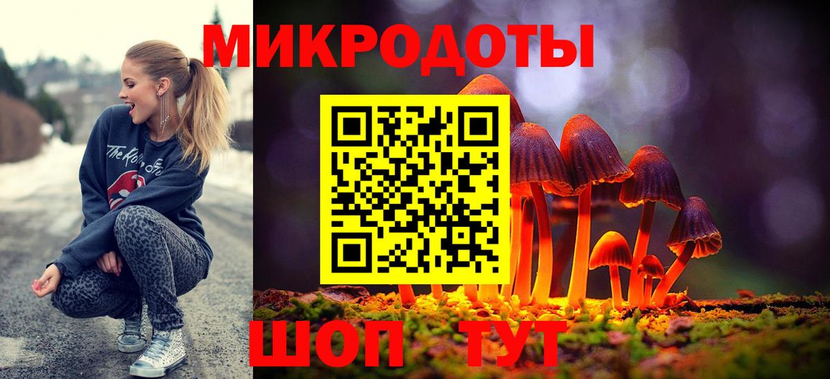 Дальнереченск  наркотики  Вход с VPN  Галлюциногенные грибы Psilocybe 
