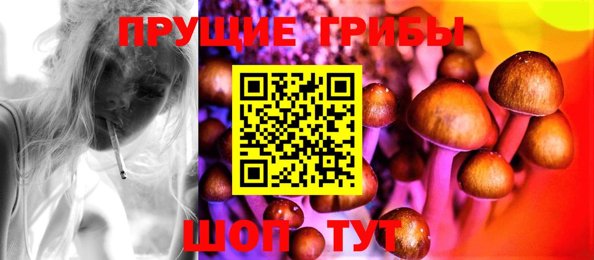 Псилоцибиновые грибы MAGIC MUSHROOMS Дальнереченск